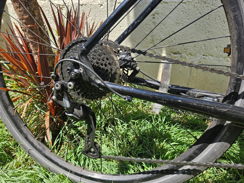 Trek Dual Sport 2 Gen5 2024