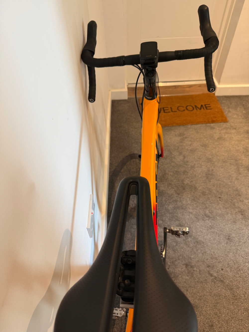 Trek Émonda ALR 4 Disc 2024