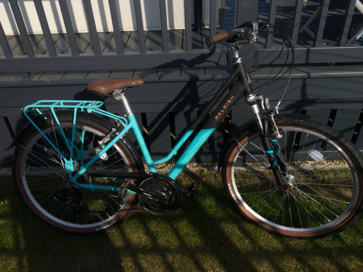 Raleigh Pioneer Low Step Frame 2020