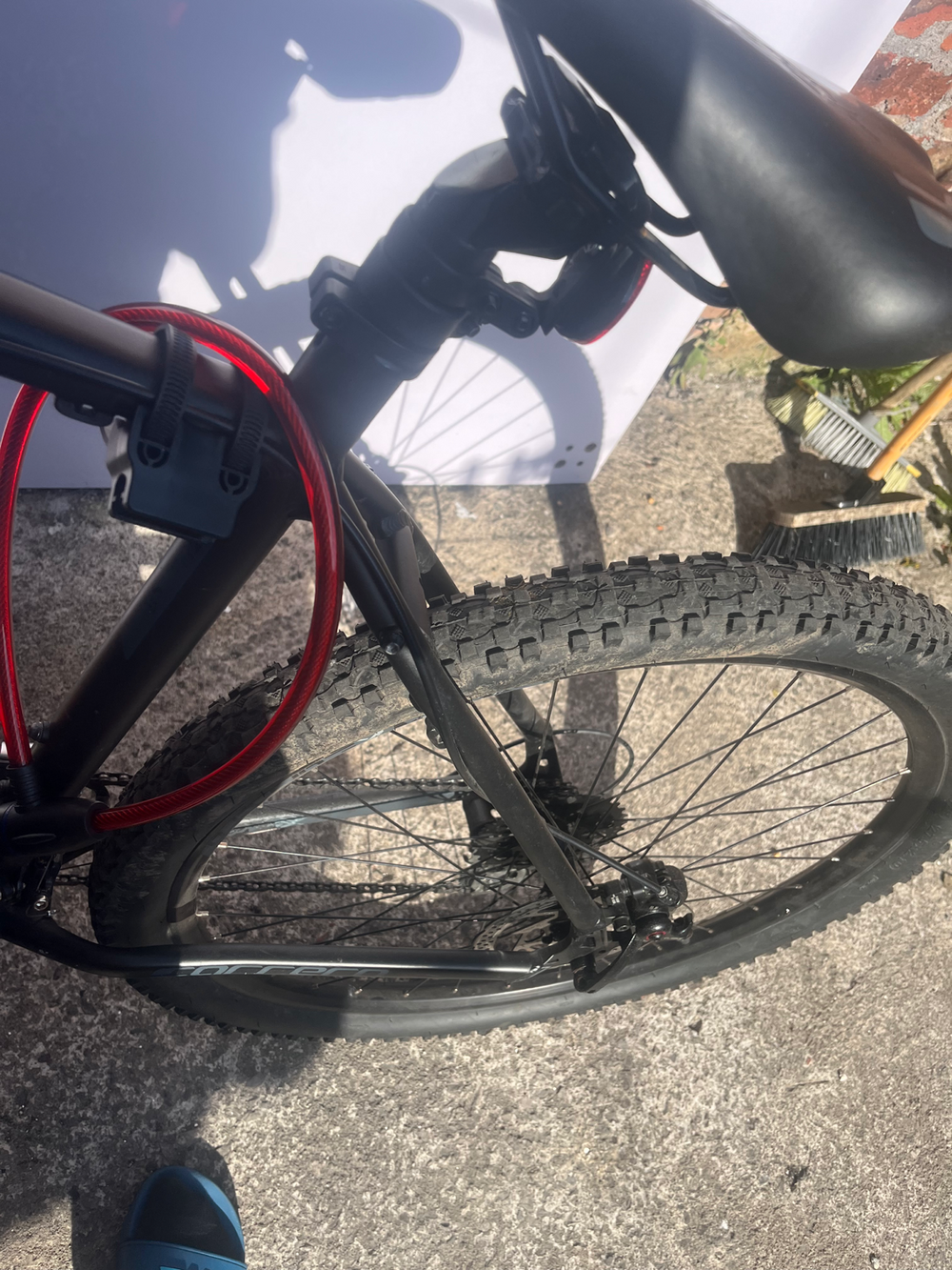 Carrera Vengeance , 2021