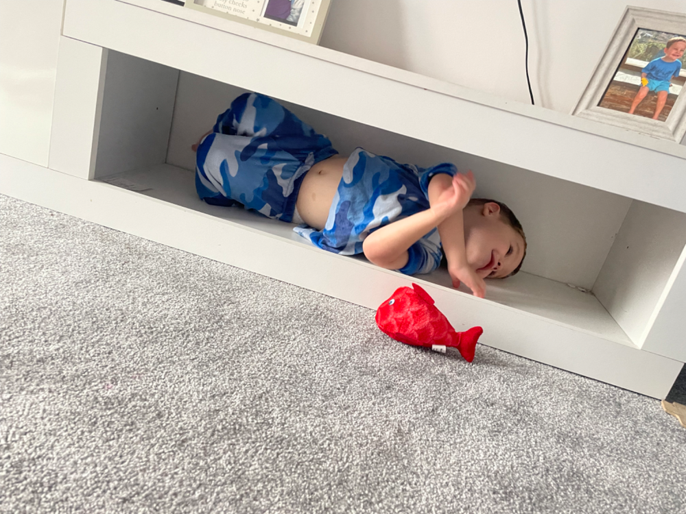 Orange Crush MX Pro 2022