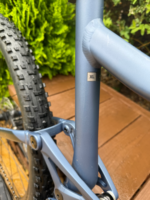 Giant Stance 2 2022