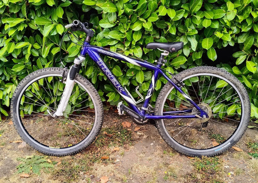 Trek 4900 2002