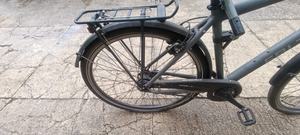 Falter C 4.0 Plus 2020 heavy duty bike’