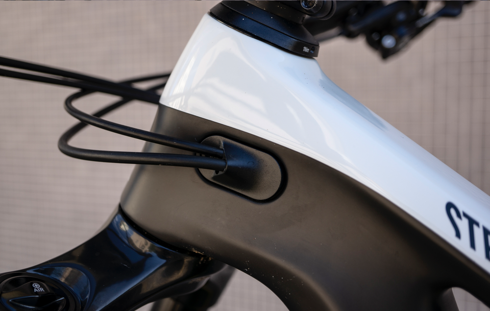 Canyon Strive CFR 9.0 LTD 2019