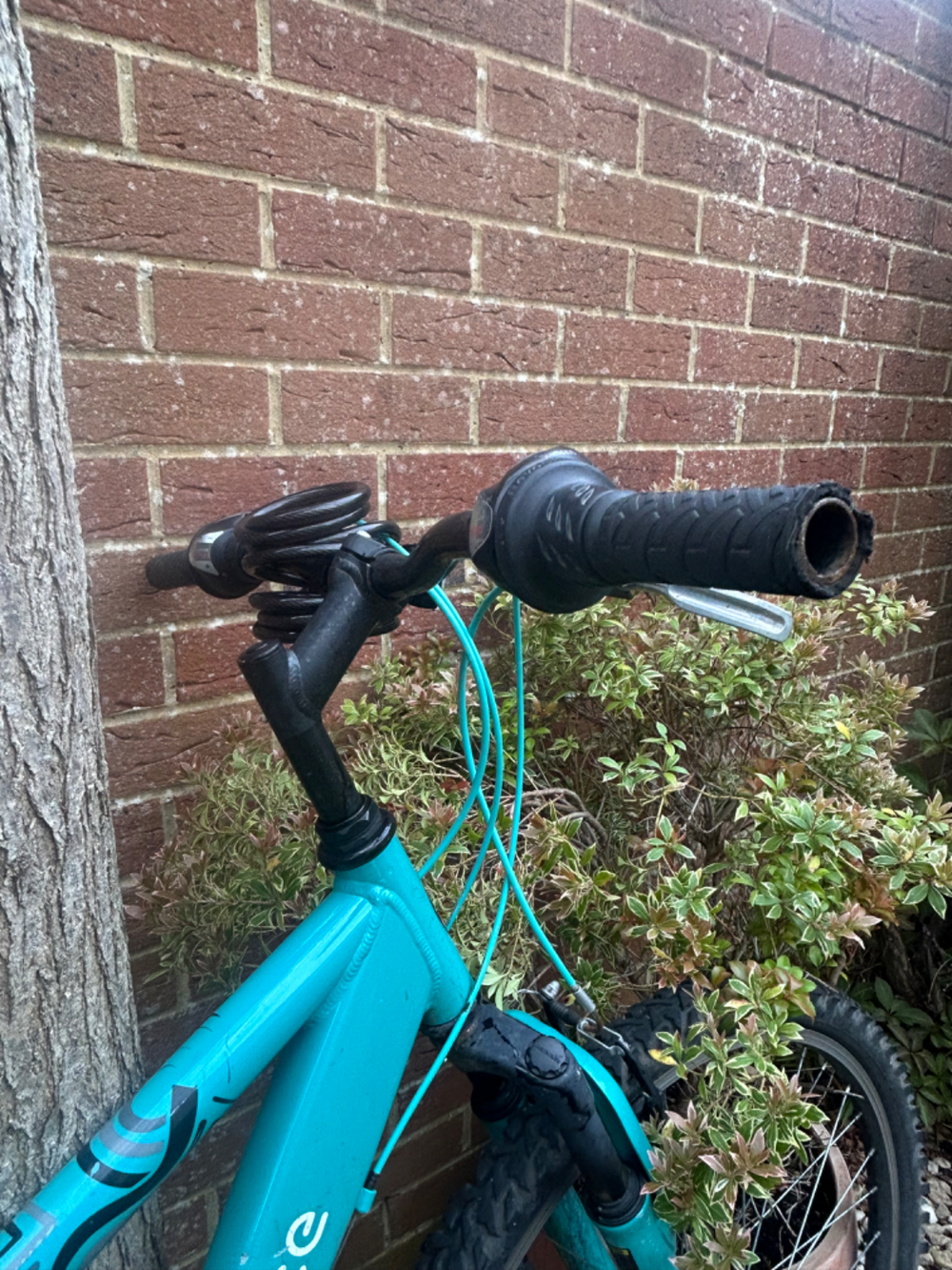 Apollo Entice Womens Mountain Bike 2023