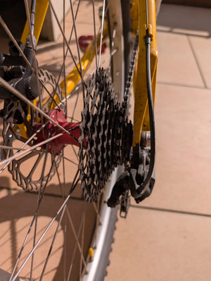 Litespeed Niota AL