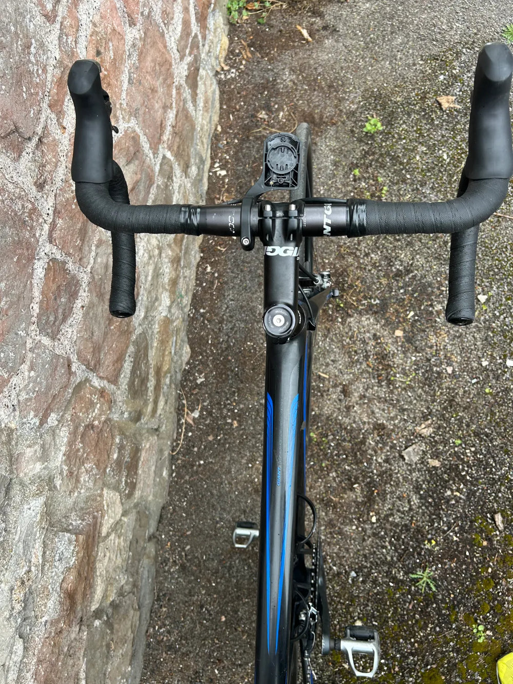 Giant TCR Composite 1 2014