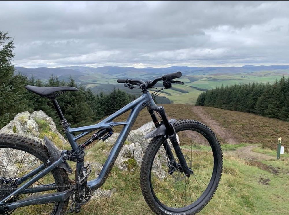 Specialized Enduro Comp 29 2019