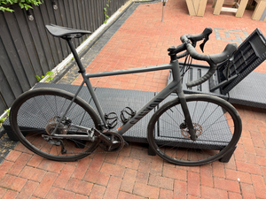 Canyon Endurace 7 RAW 2024