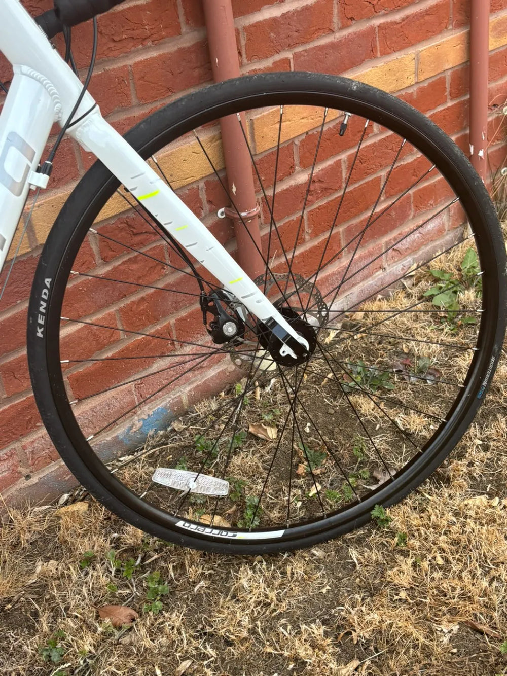 Carrera Virtuoso 2020