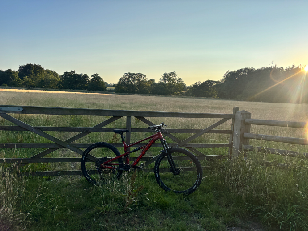 Calibre BOSSNUT 2022