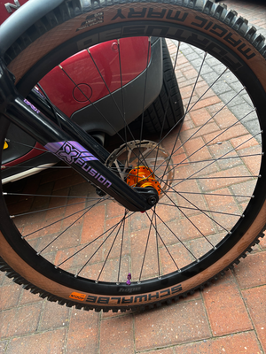 Marin Rift Zone 2 29 2025
