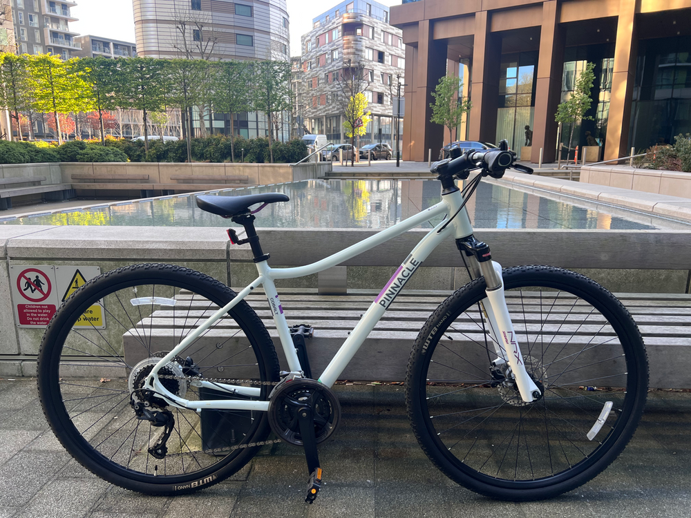 Pinnacle Cobalt 2 2020
