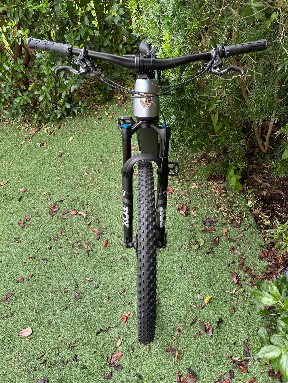 Porsche Rotwild cross 2024