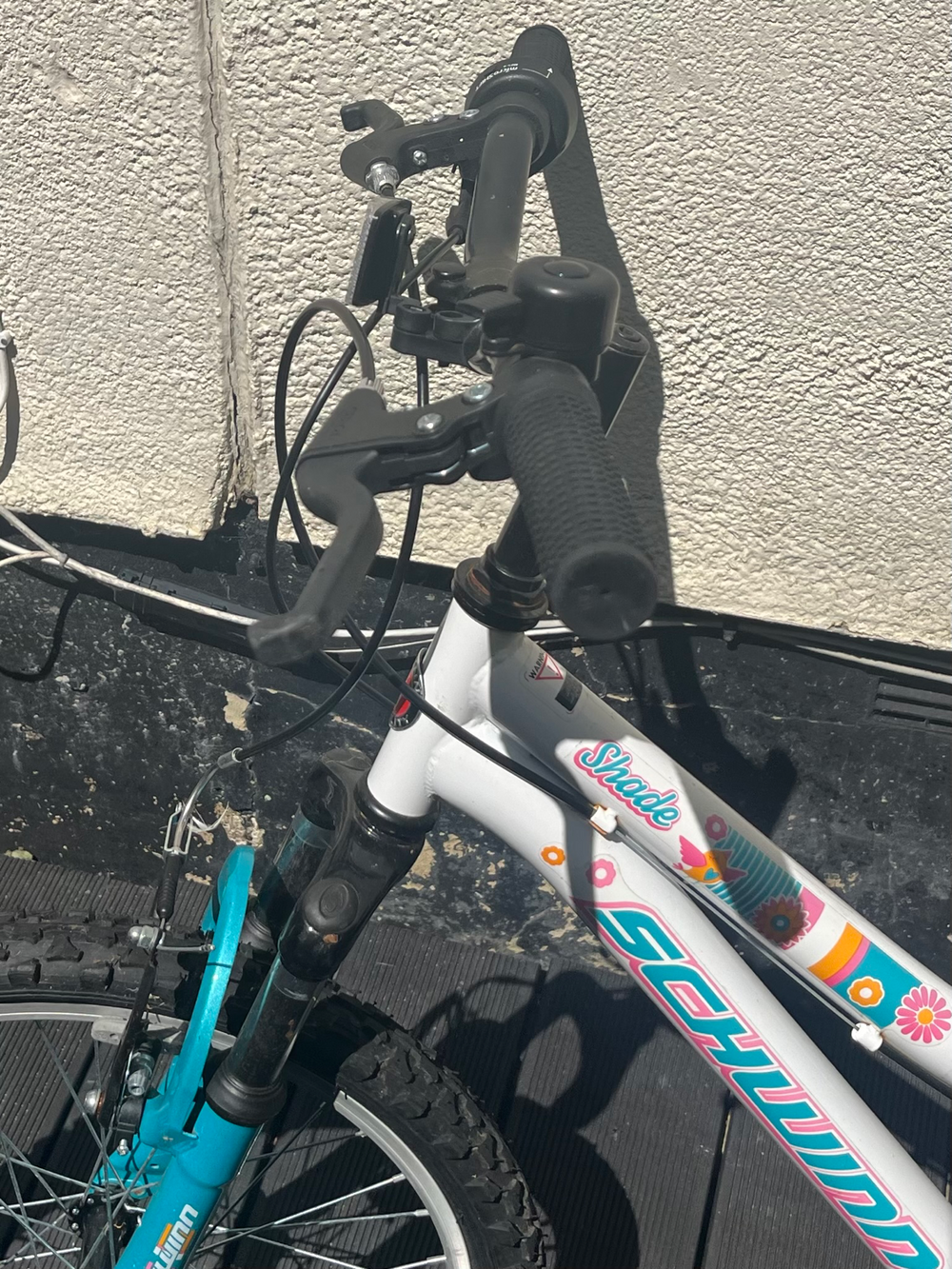 SCHWINN 20 inches Campus Kids MTB Bike 2022
