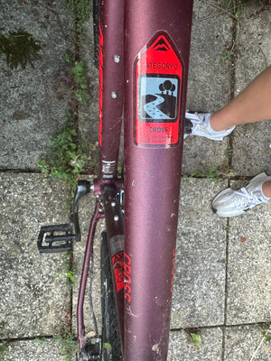 Merida Crossway 20D 2021