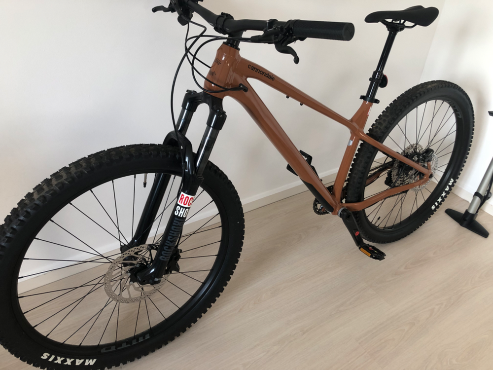 Cannondale Habit HT 1 2025