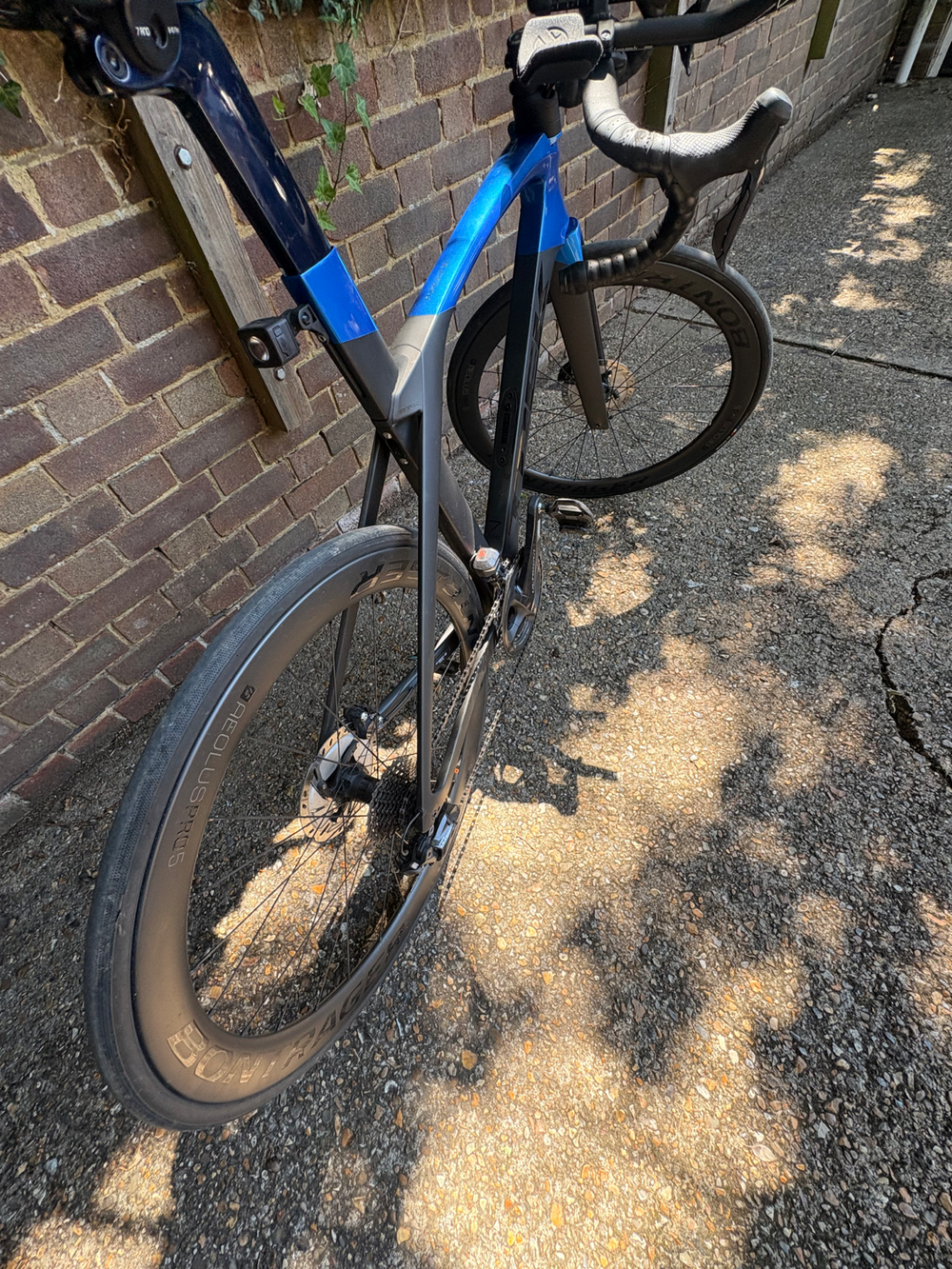Trek Madone 6 Series 2010