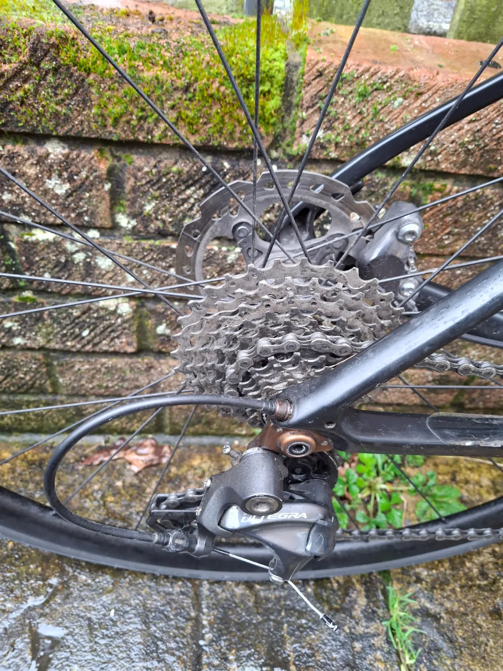 Giant Defy Advanced 1 2019