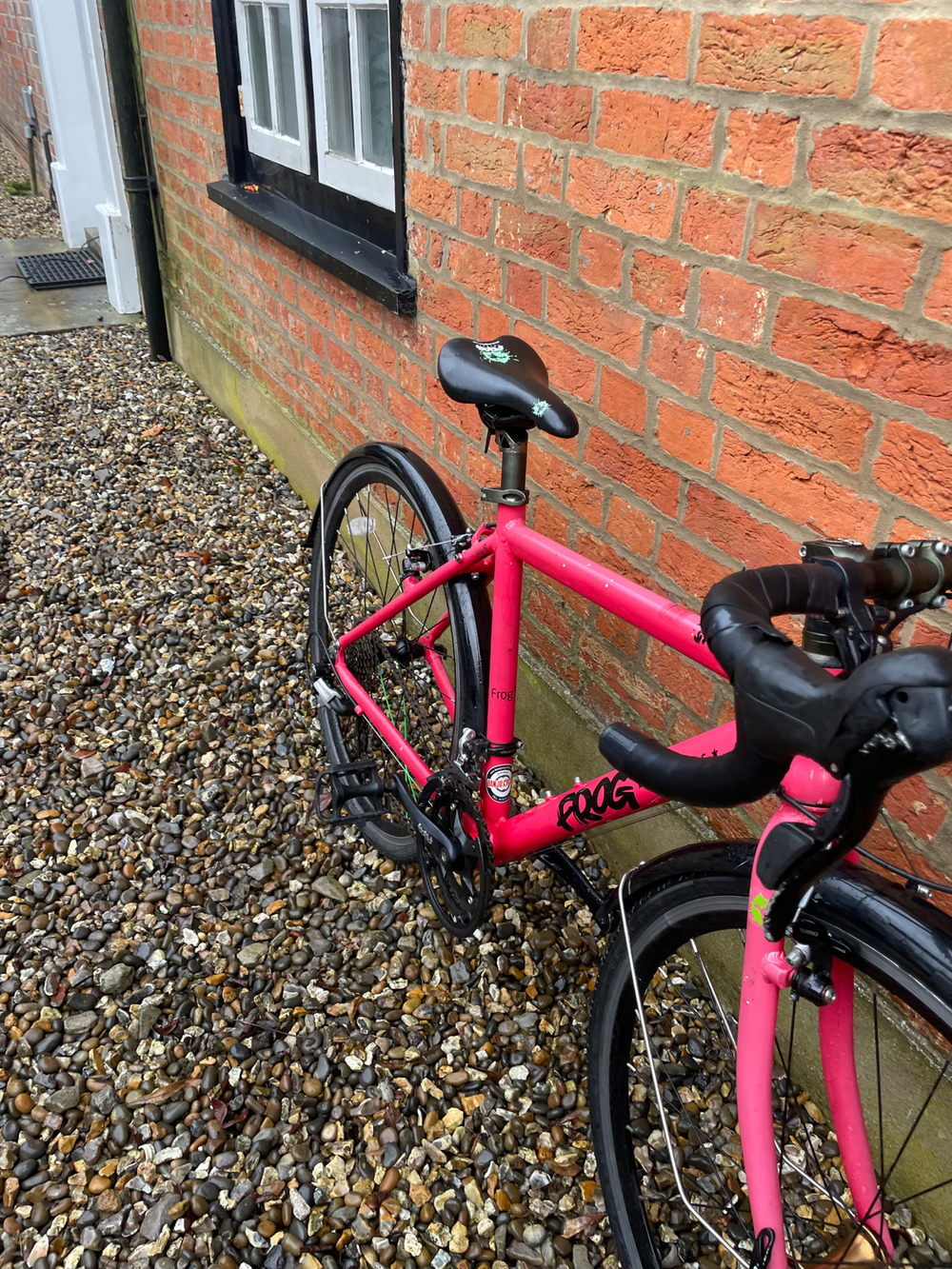 Frog Road 70 2018