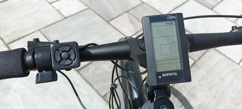 Vitus Dee VR Nexus 2021