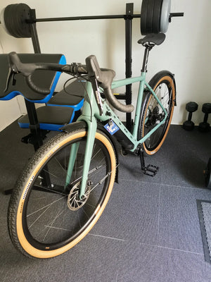 Vitus Al sn99 green l 2025