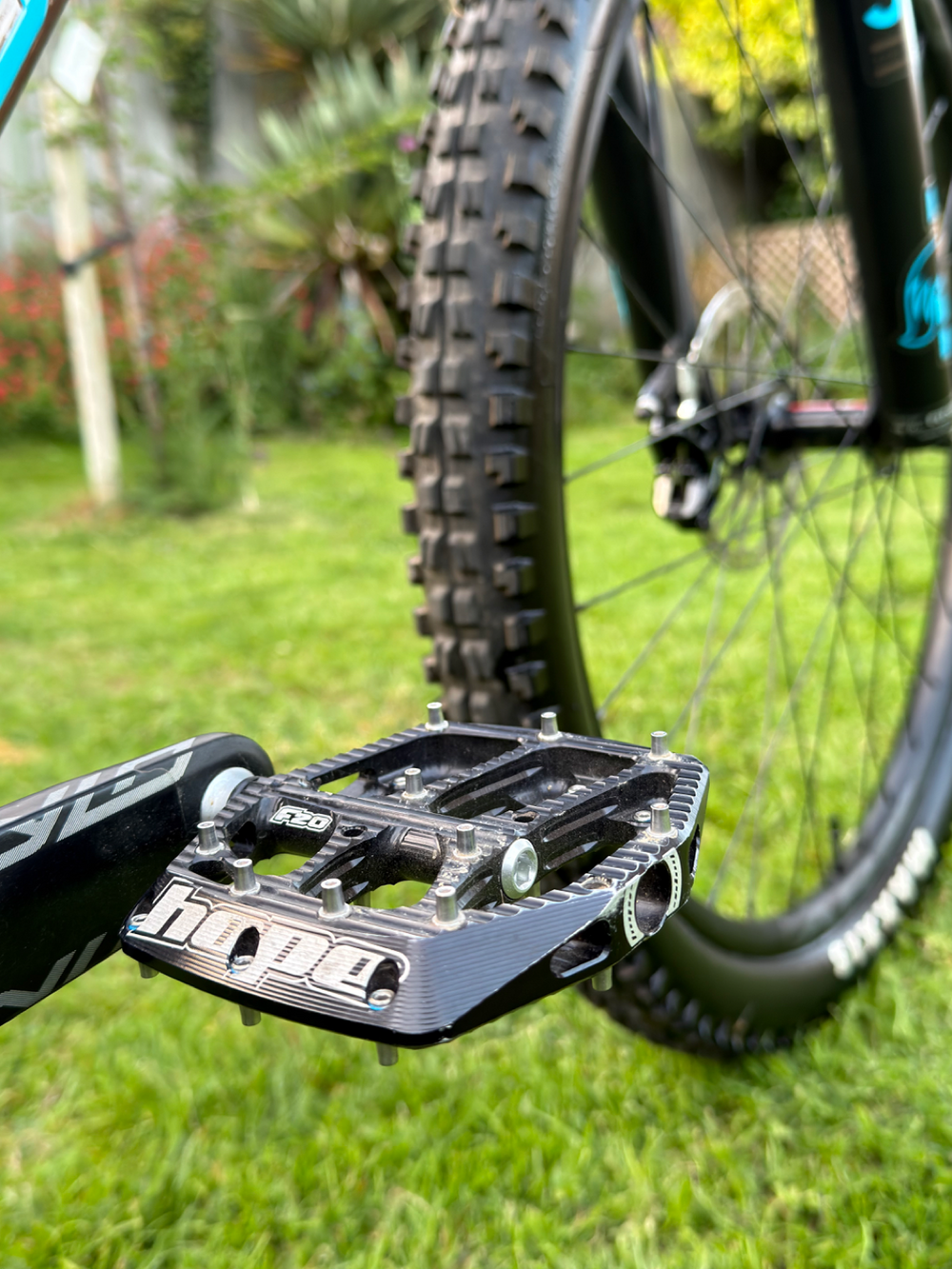 Santa Cruz Chameleon S / Carbon C / 29 2020