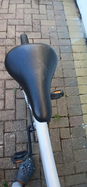 Custom Repainted BMX