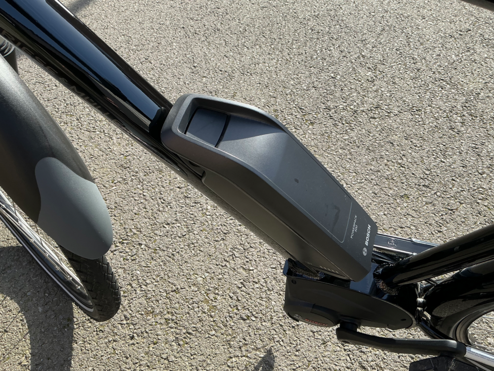 Riese and Muller Roadster Vario 2022