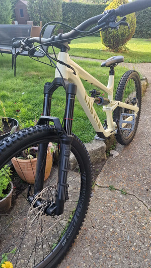 Canyon Torque Mullet AL 6 2025