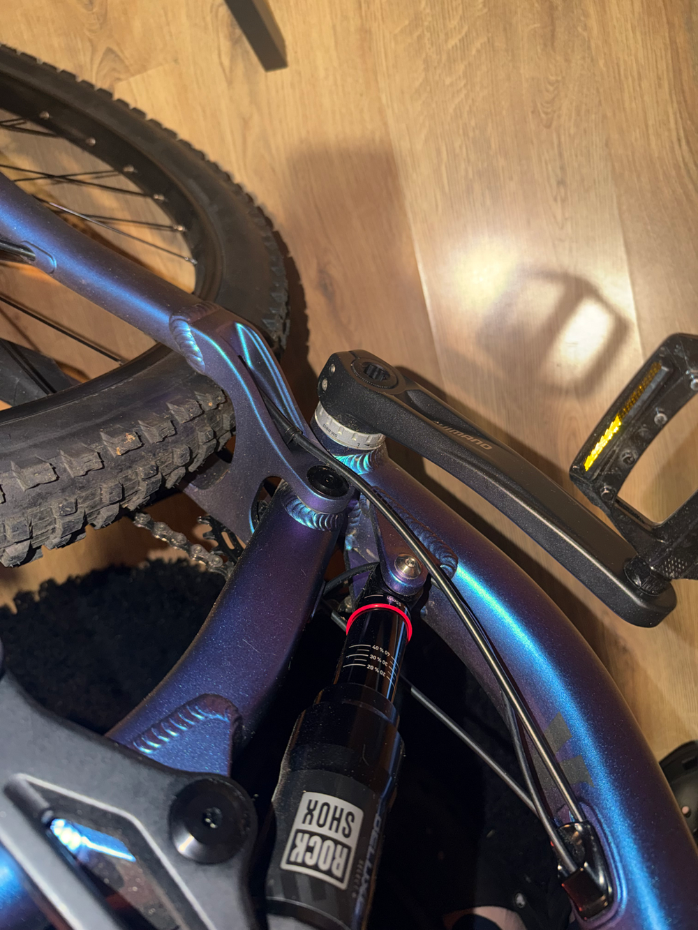 Voodoo Canzo Pro 2025