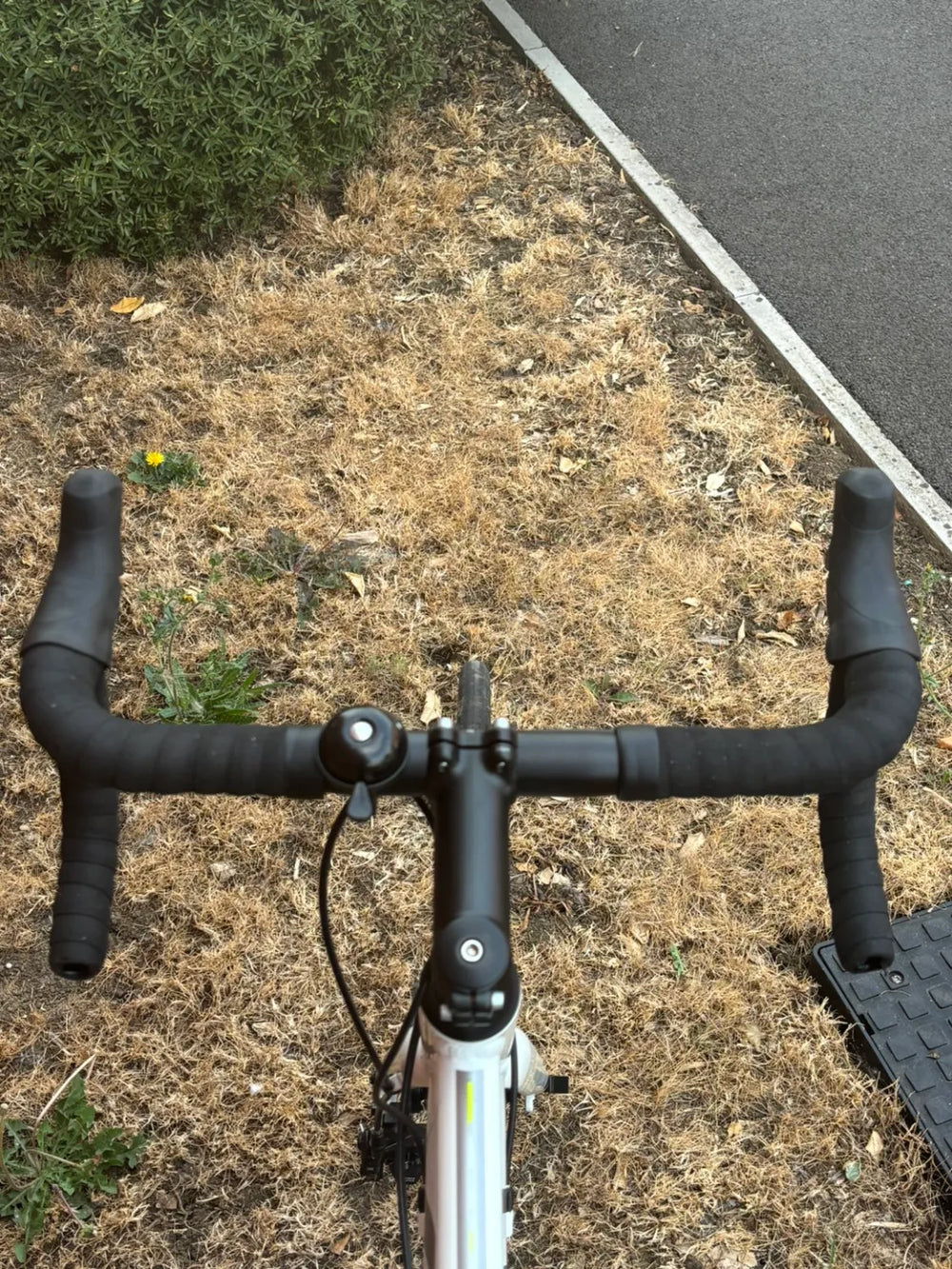 Carrera Virtuoso 2020