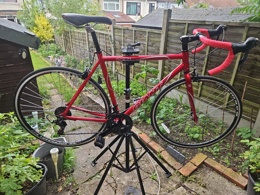 Giant Defy 4 2010