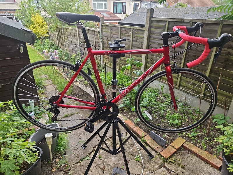 Giant Defy 4 2010