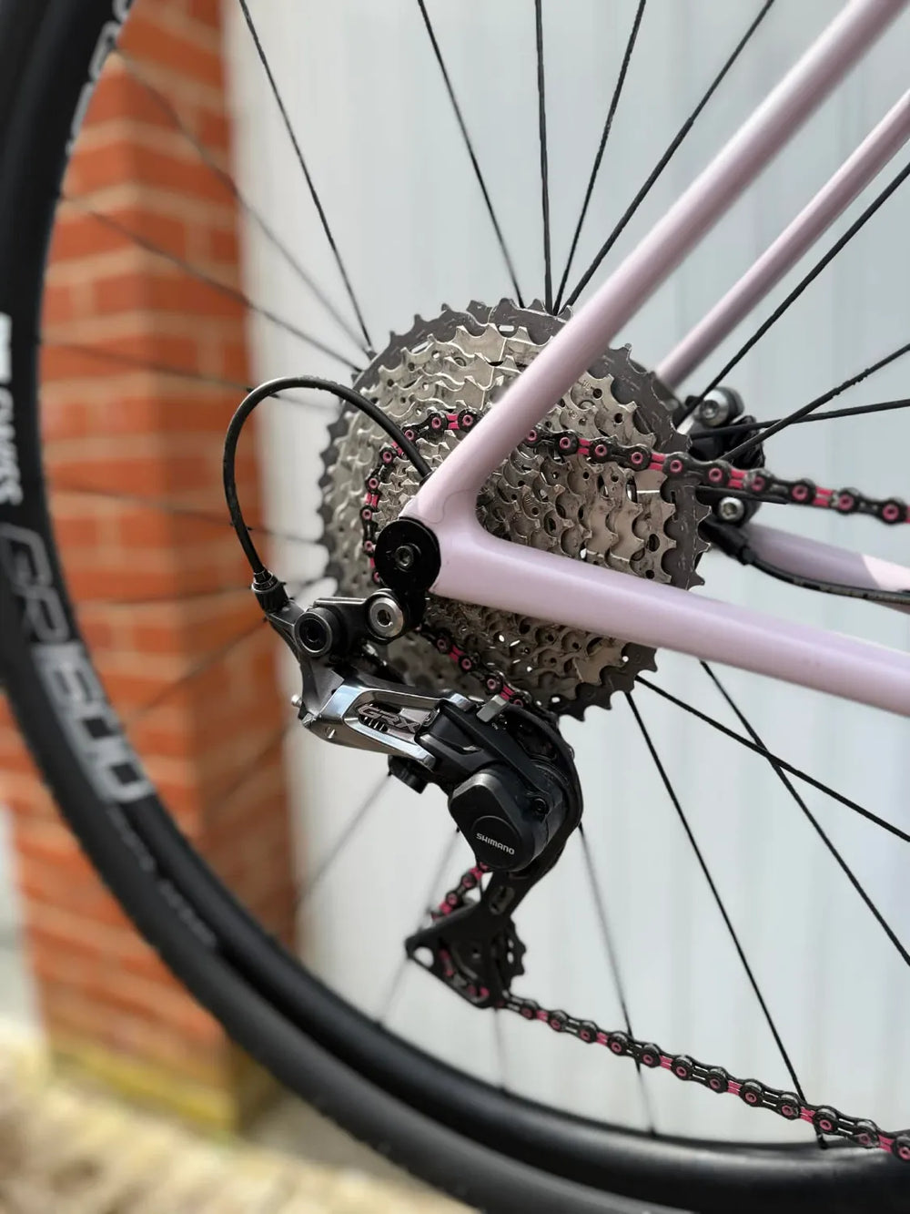 Vielo V+1 2021