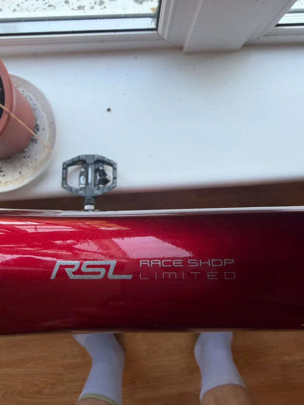 Trek Madone Race Shop Limited 2017