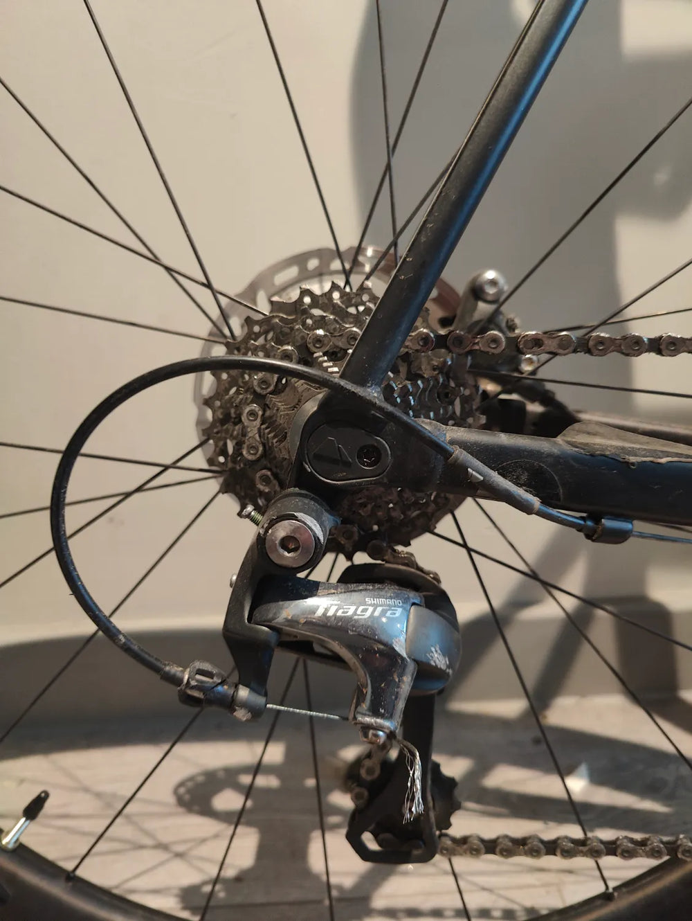 Canyon Endurace AL 6.0 2023