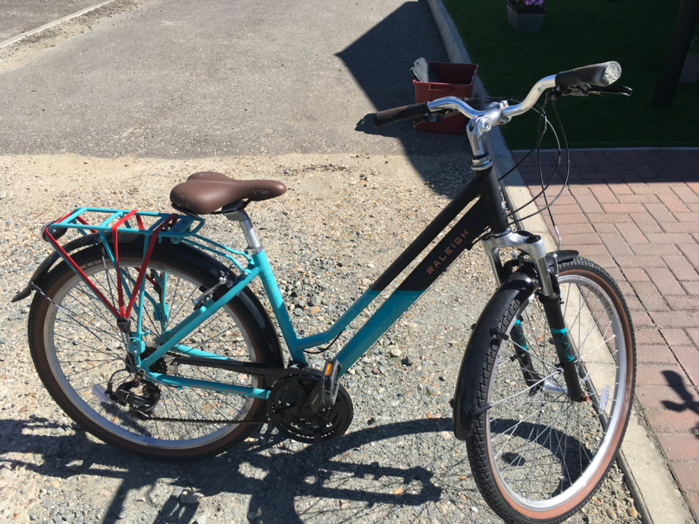 Raleigh Pioneer Low Step Frame 2020