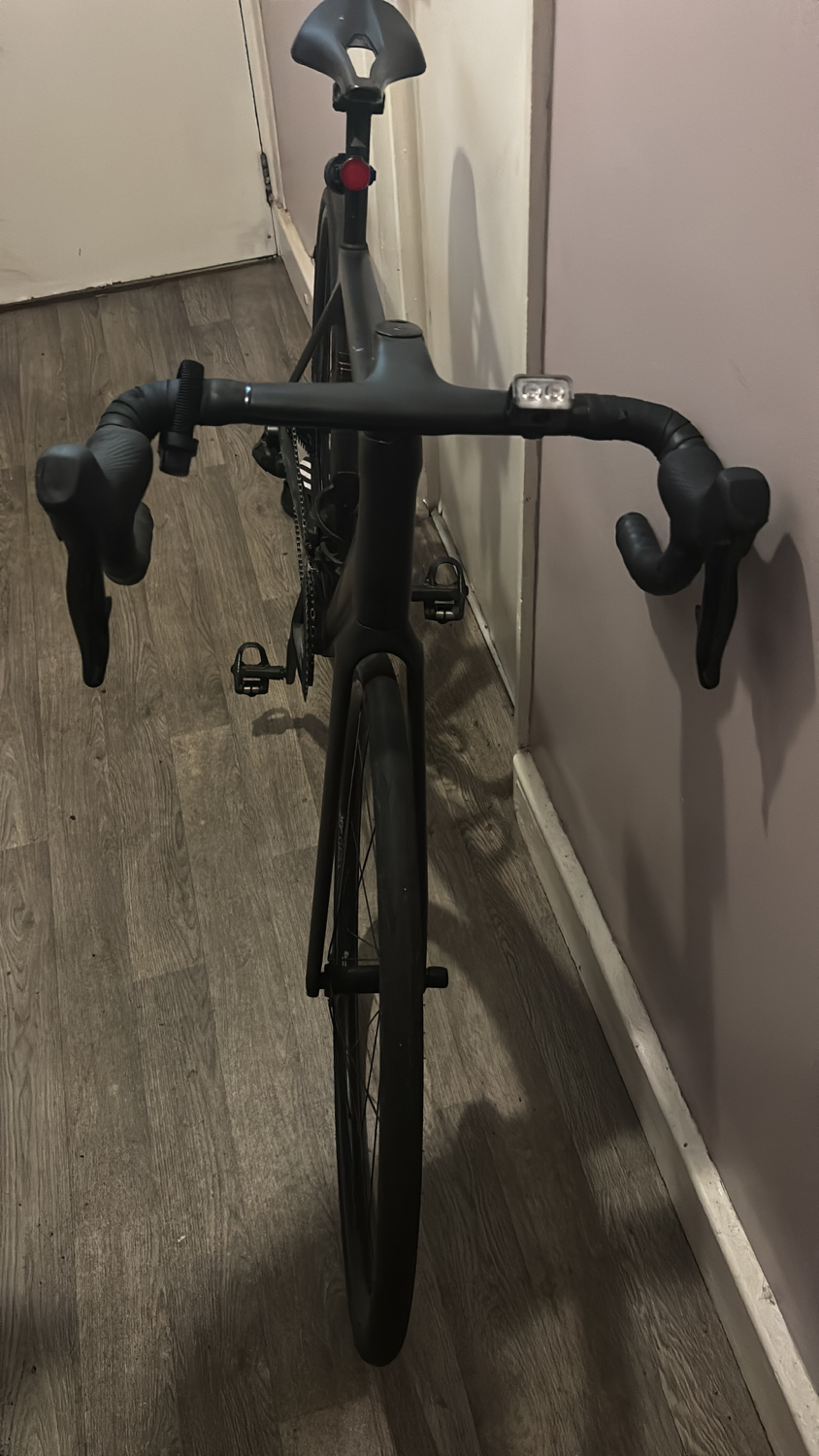 Canyon Endurace CF 7 2024