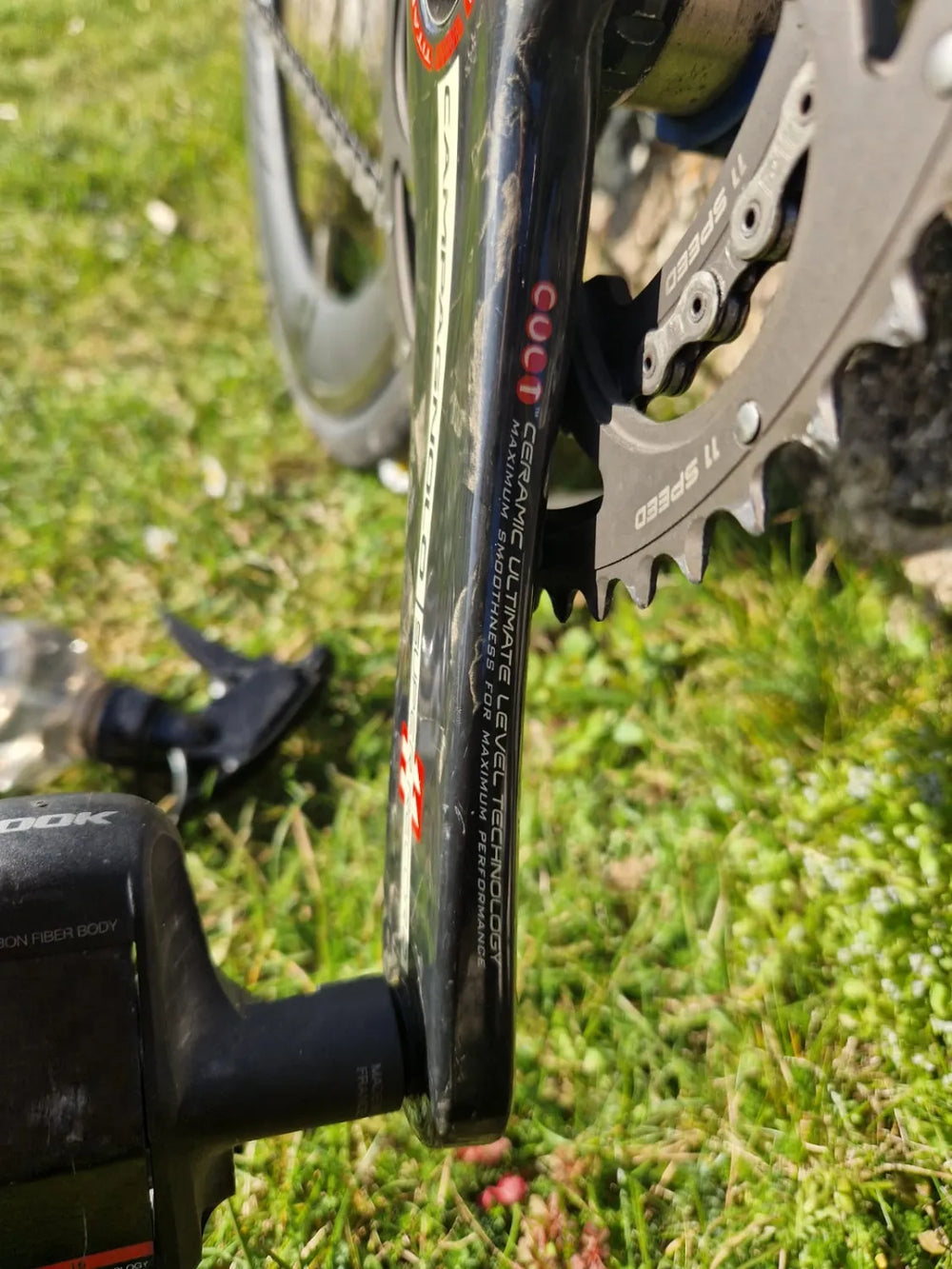 Seven cycles  Axiom SL 2019