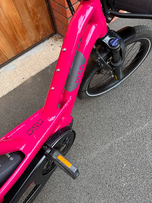 Tern GSD S10 LR 2024