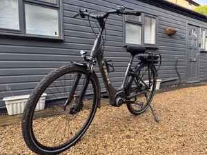 Trek Verve+ 1 Lowstep 2021