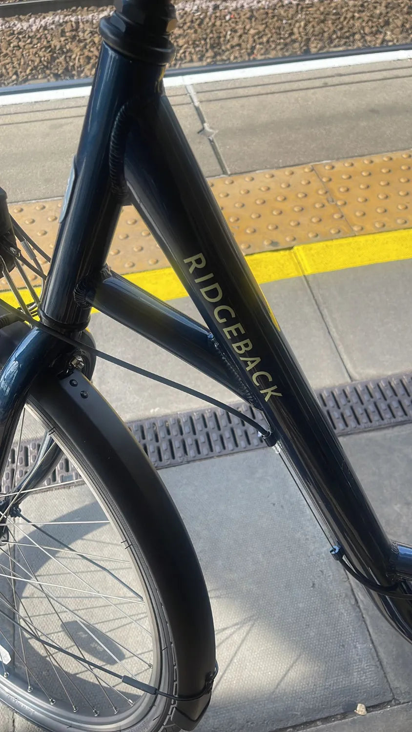 Ridgeback Avenida 7 2024