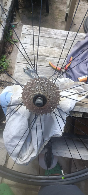 Merida Scultura 100 2022