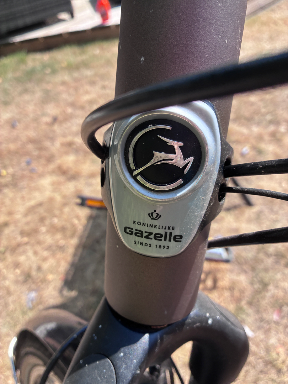 Gazelle Grenoble C7+ Low-Step 2020
