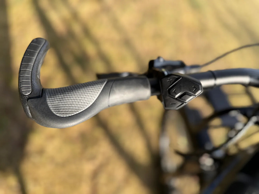 Riese & Muller Supercharger GX Rohloff 2018