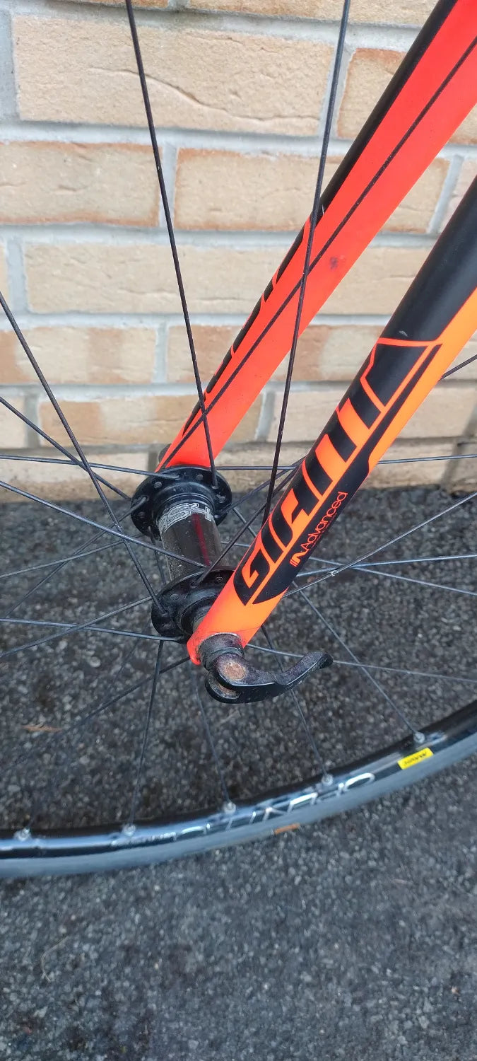 Giant TCR Advanced 2 2018