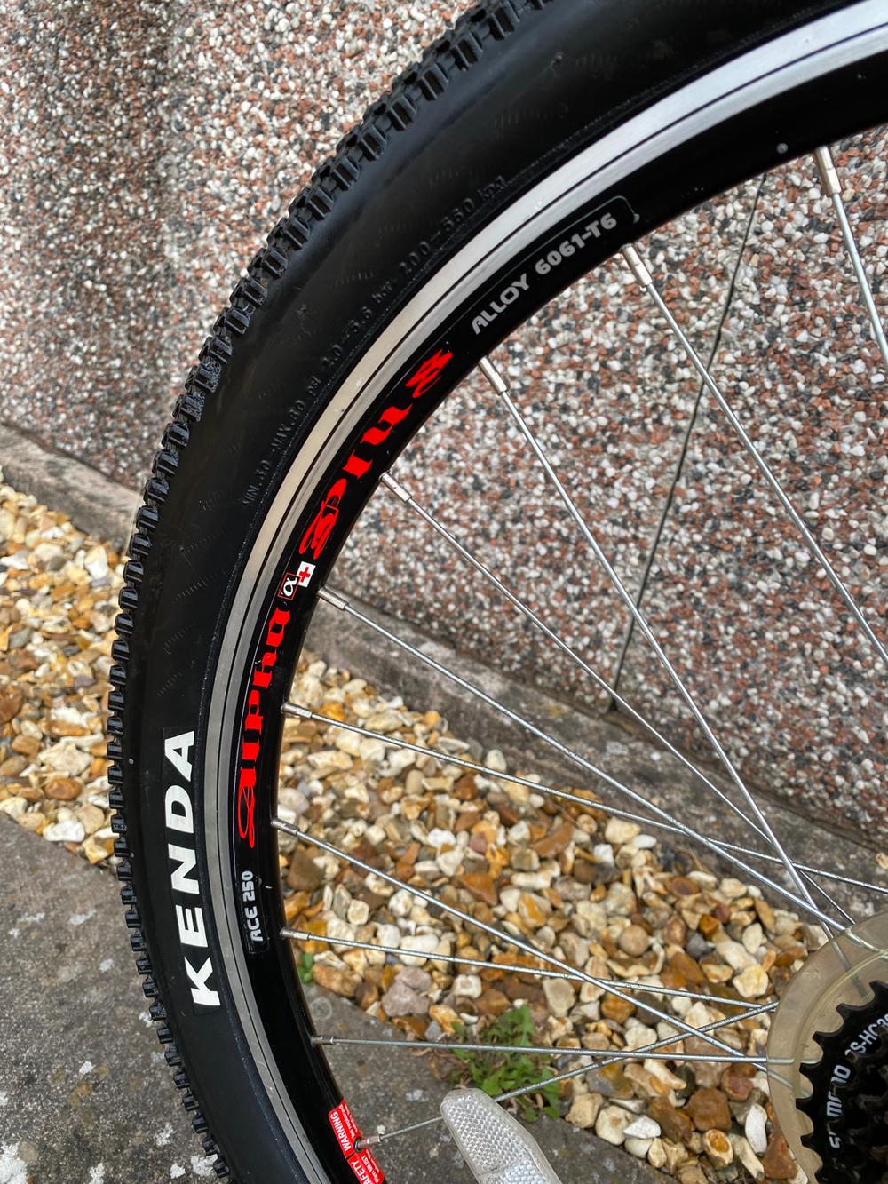 Python Rock Gents 26 inches Mountain 2023