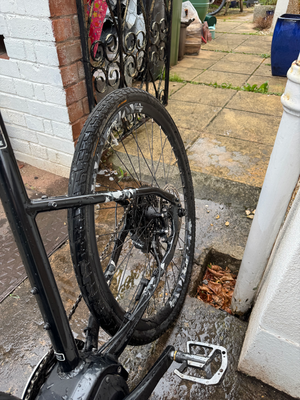 Raleigh Mustang E Comp 2019